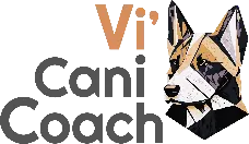 vicanicoach